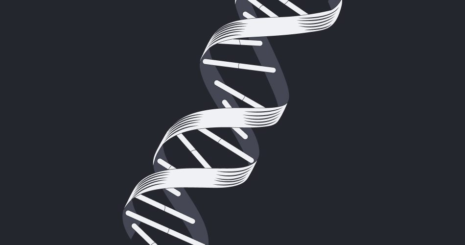 Ana Takahashi - As coerências entre design tokens e Figma Variables